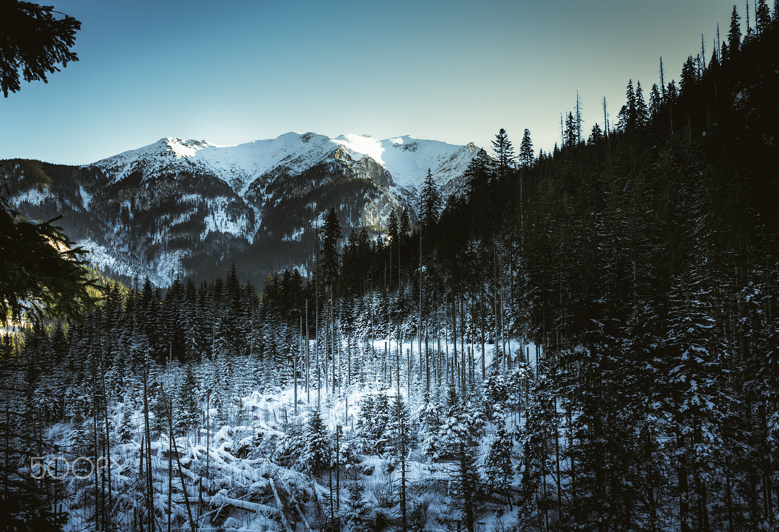 Canon EF-S 24mm F2.8 STM sample photo. Tatra mountains photography