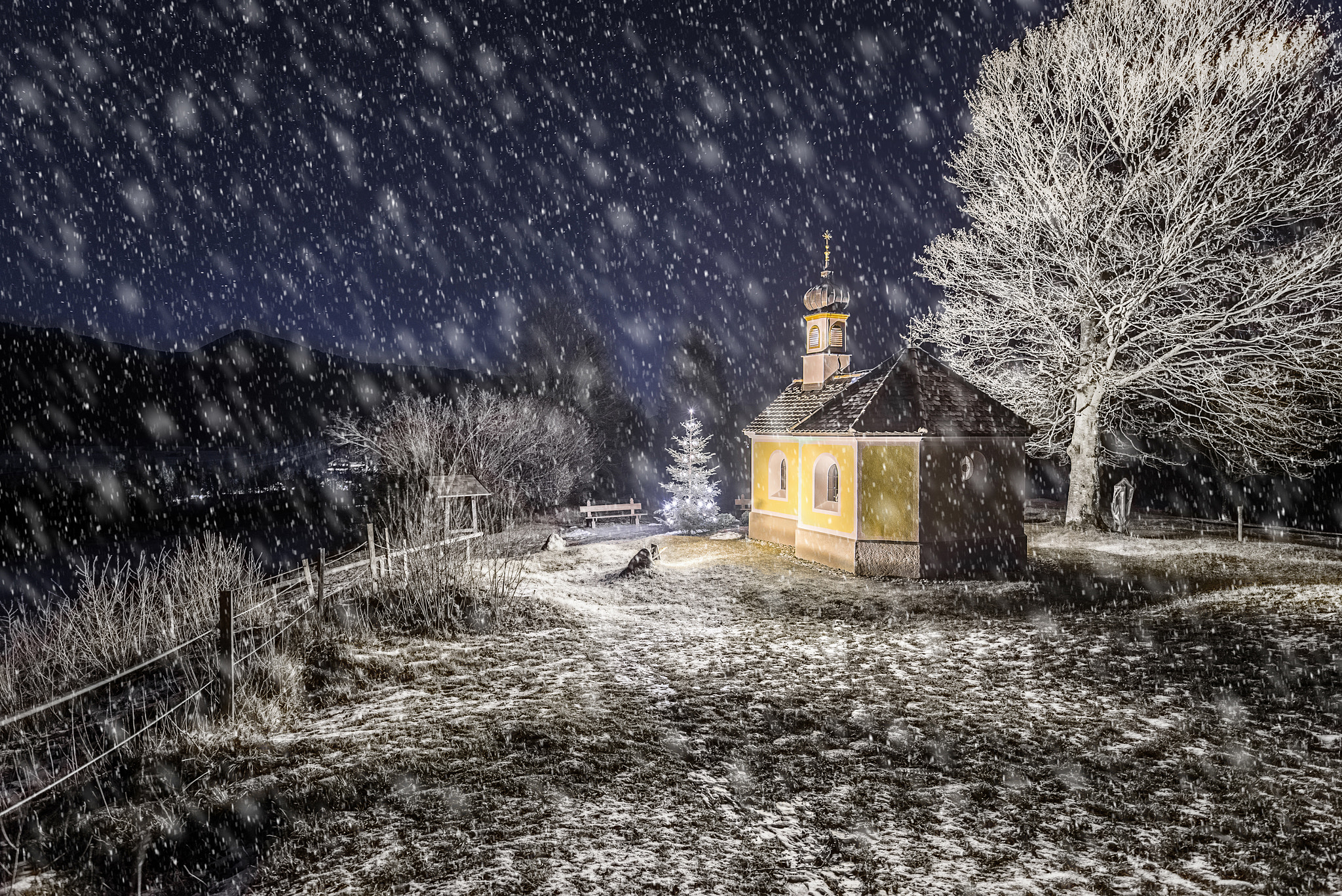 Tamron SP 15-30mm F2.8 Di VC USD sample photo. Xmas photography