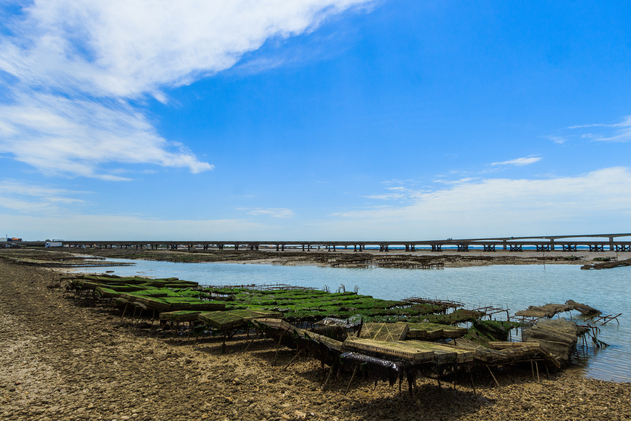 Canon EF-S 10-22mm F3.5-4.5 USM sample photo. Marré basse photography