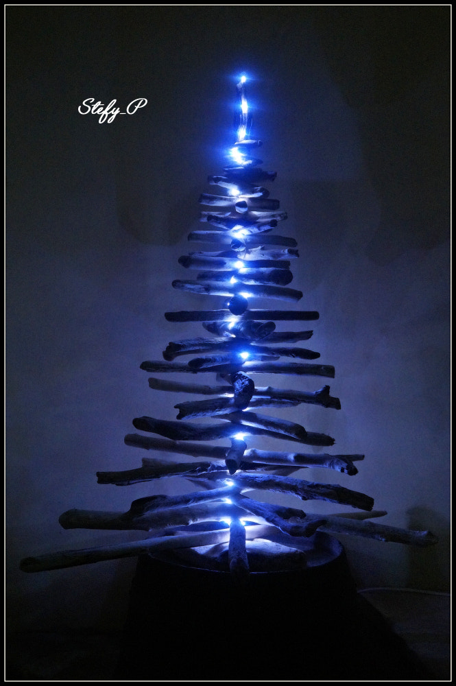 Sony DT 18-200mm F3.5-6.3 sample photo. The ghost of a christmas tree photography