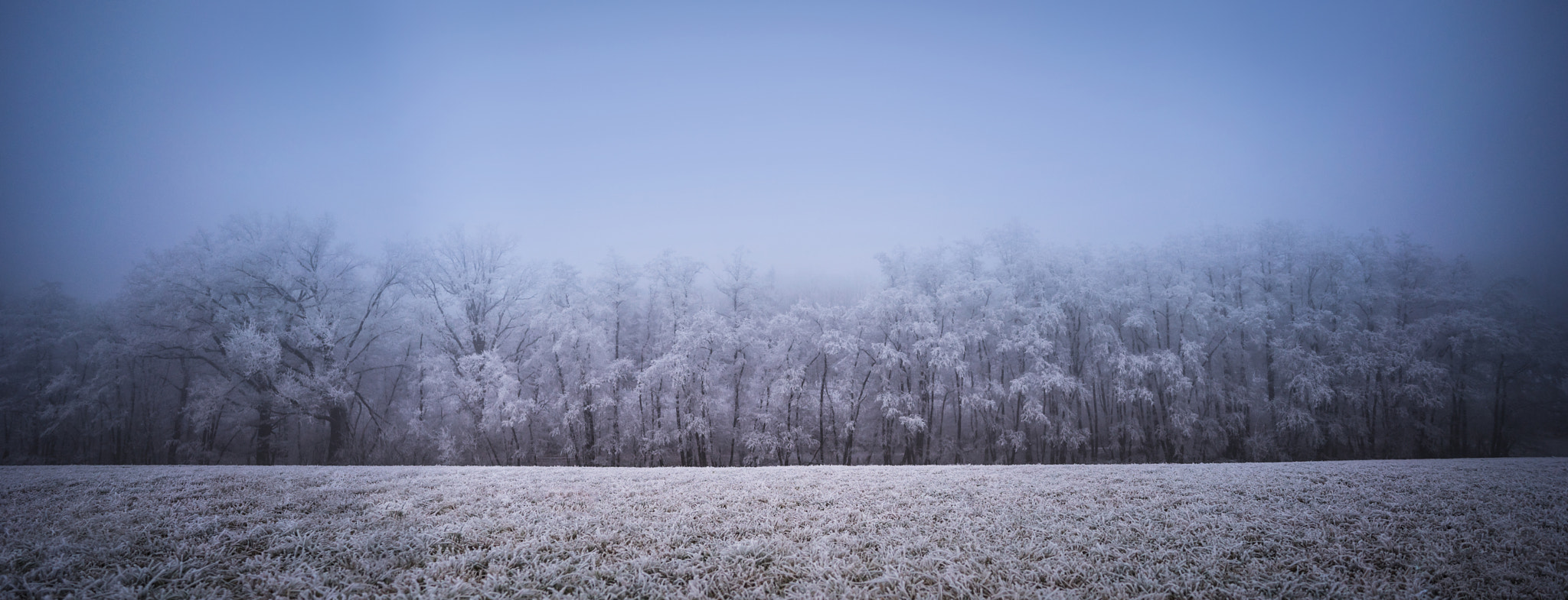 Sony a7R + E 18mm F2.8 sample photo. Like a wall photography