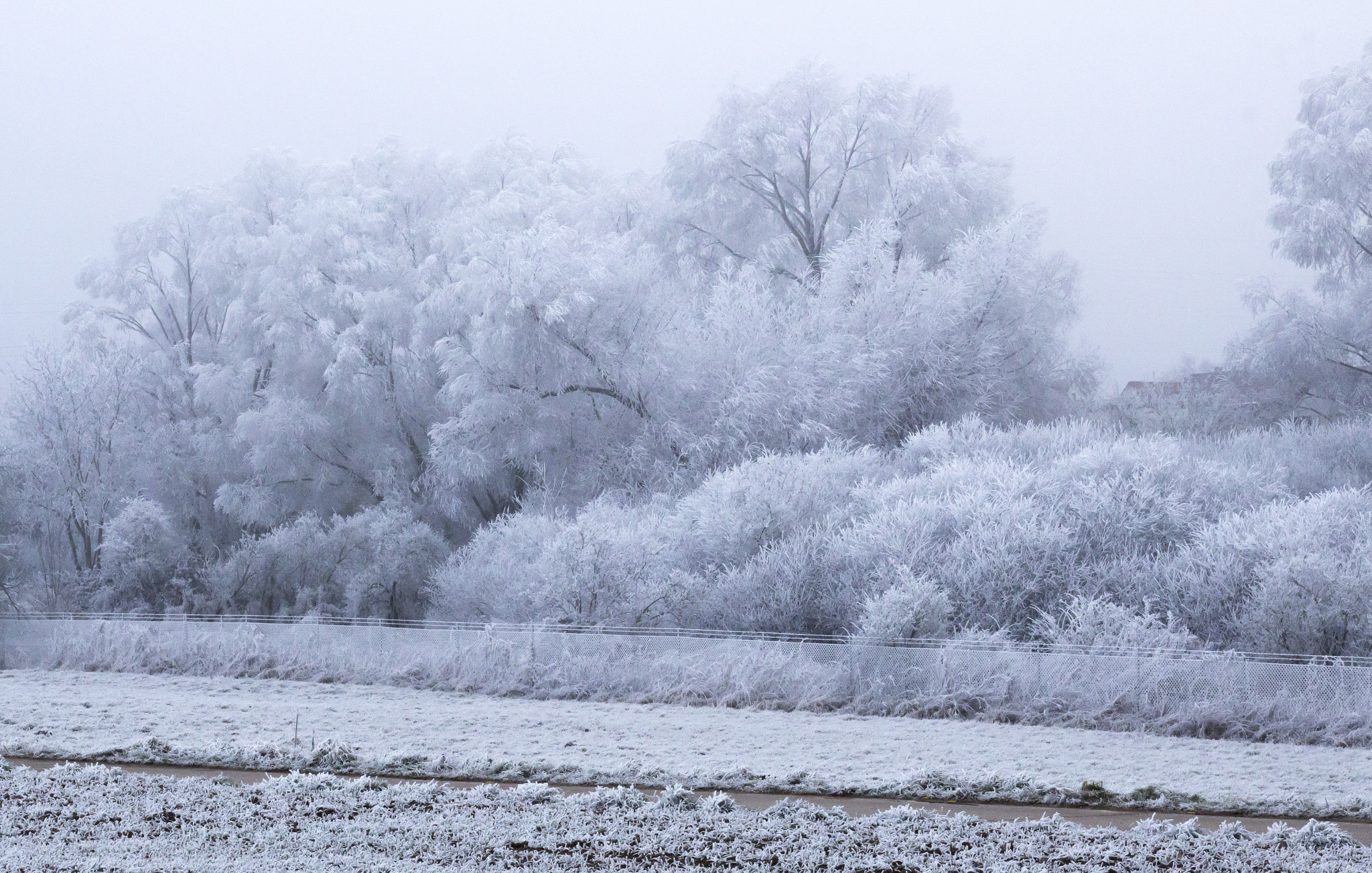 Canon EOS 700D (EOS Rebel T5i / EOS Kiss X7i) sample photo. Winter is coming 4 photography