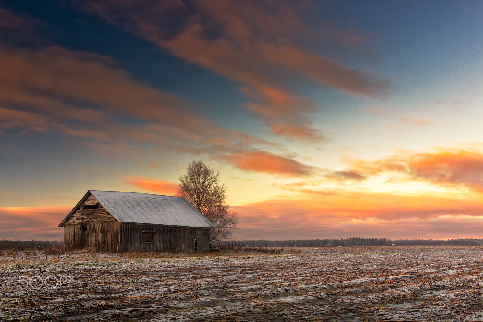 Canon EF-S 24mm F2.8 STM sample photo. Sunset on the frosty fields photography