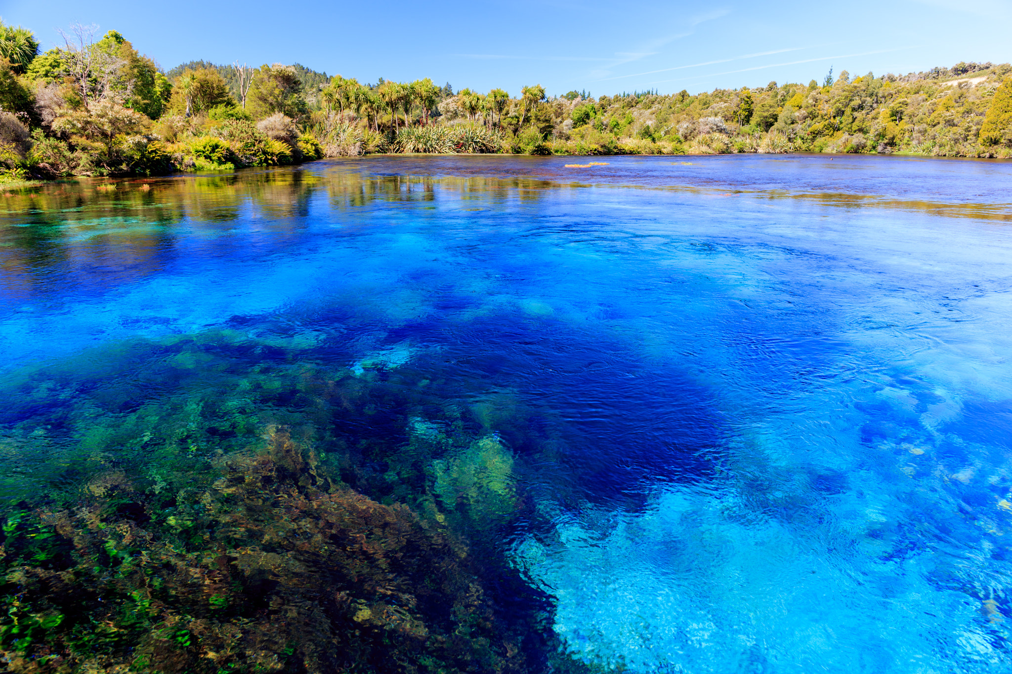 Canon EF 24mm F2.8 IS USM sample photo. Te waikoropupu springs photography
