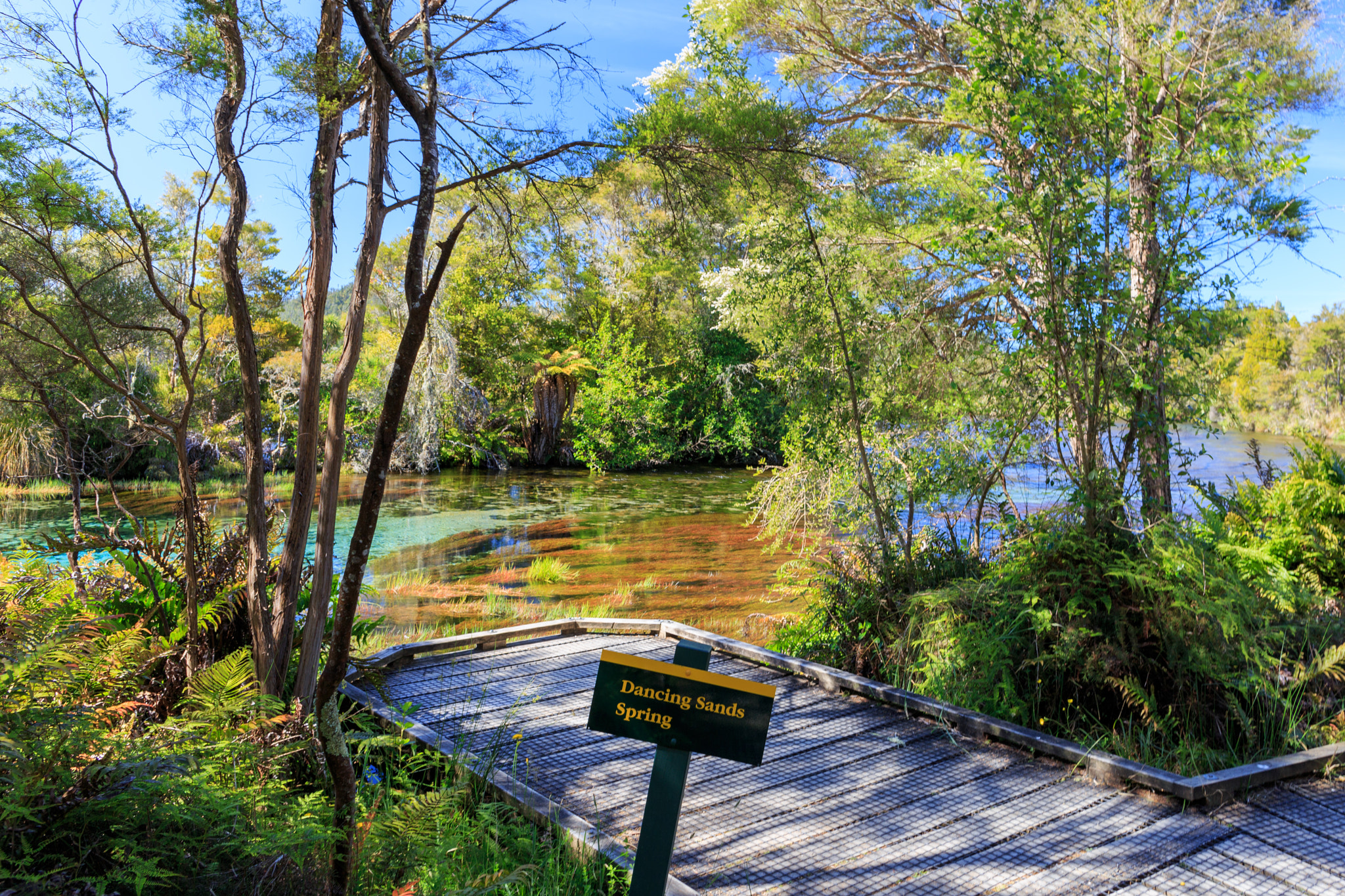 Canon EF 24mm F2.8 IS USM sample photo. Te waikoropupu springs photography