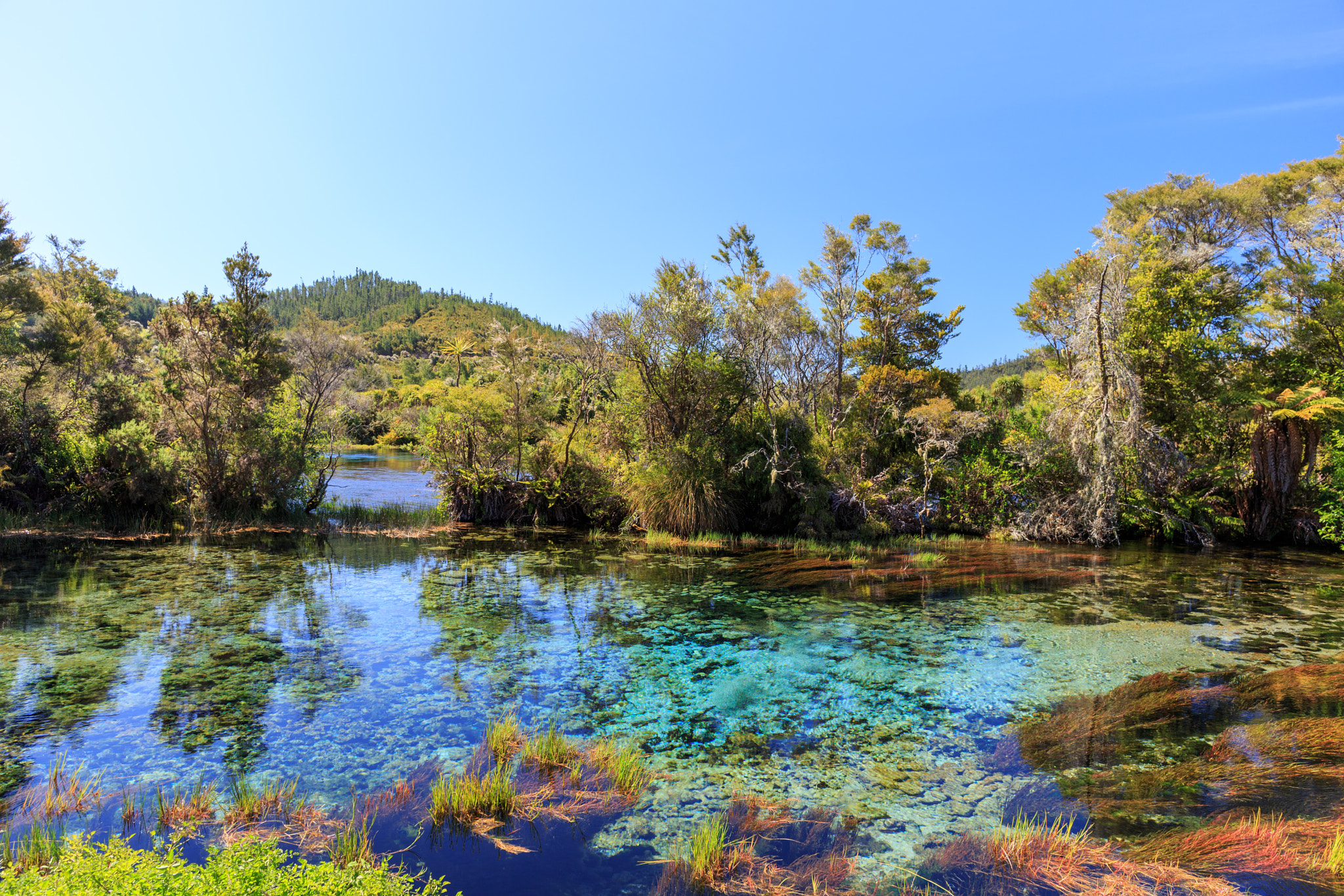 Canon EF 24mm F2.8 IS USM sample photo. Te waikoropupu springs photography