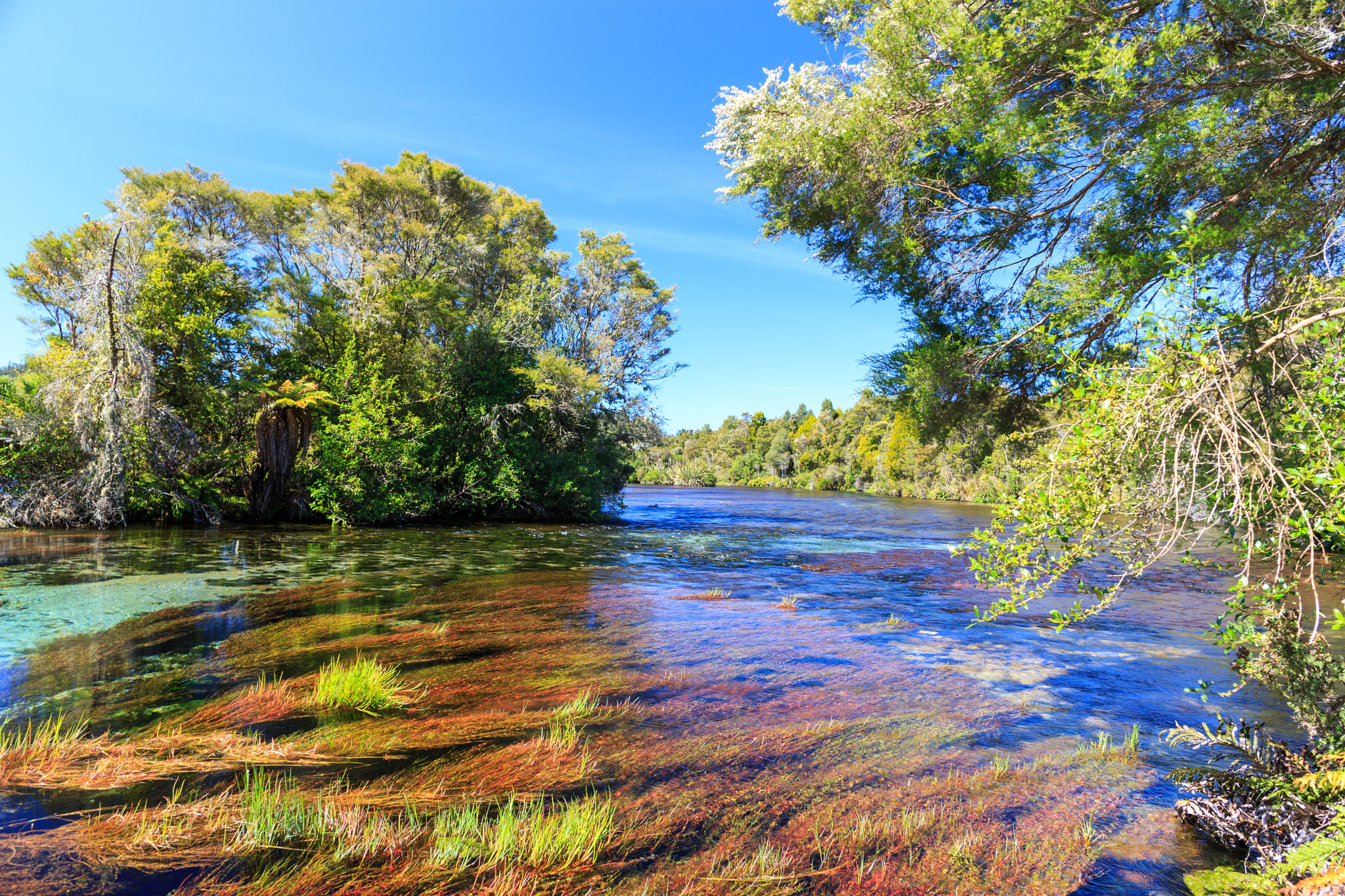Canon EF 24mm F2.8 IS USM sample photo. Te waikoropupu springs photography