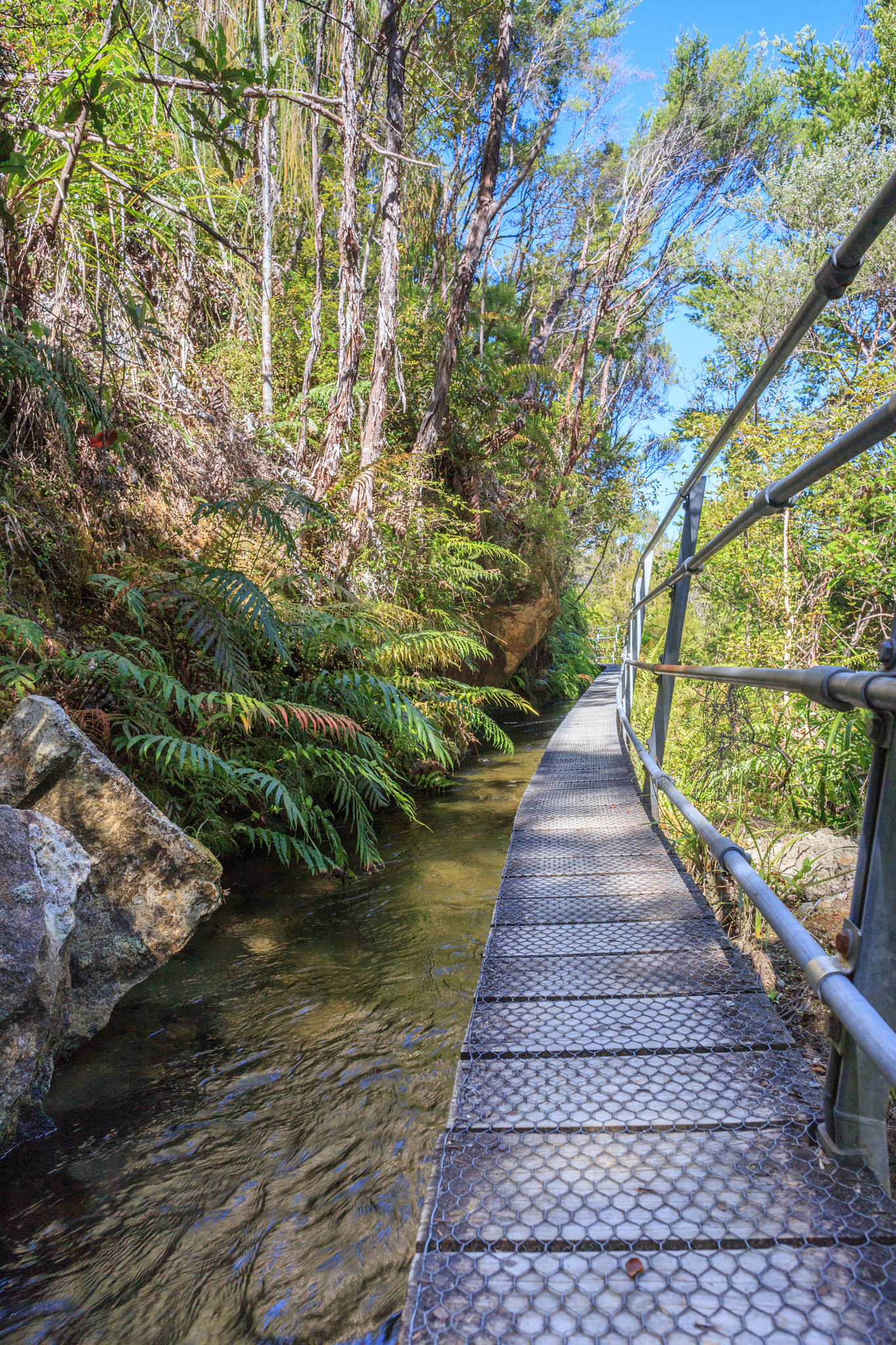 Canon EF 24mm F2.8 IS USM sample photo. Pupu hydro walkway photography