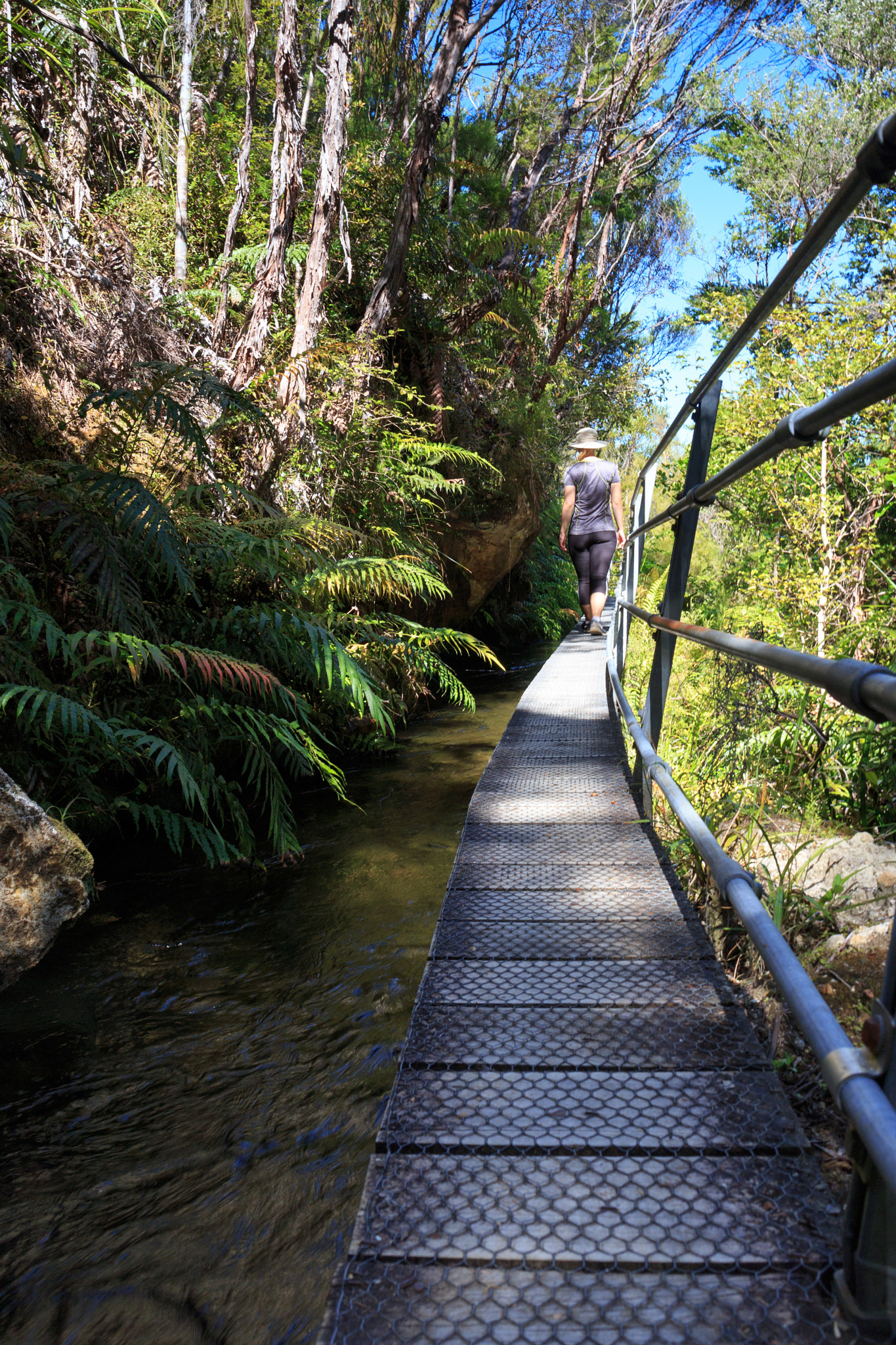 Canon EF 24mm F2.8 IS USM sample photo. Pupu hydro walkway photography