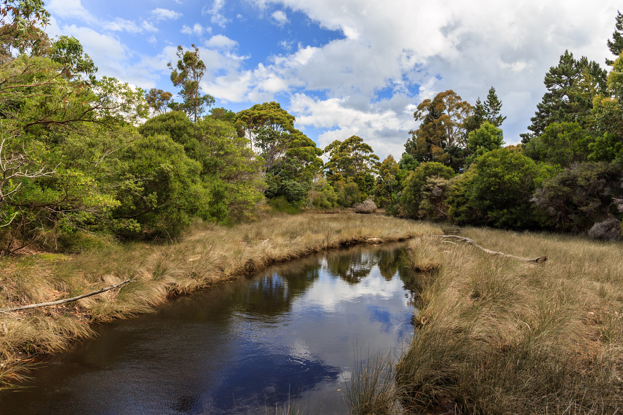 Canon EF 24mm F2.8 IS USM sample photo. Milnthorpe park photography