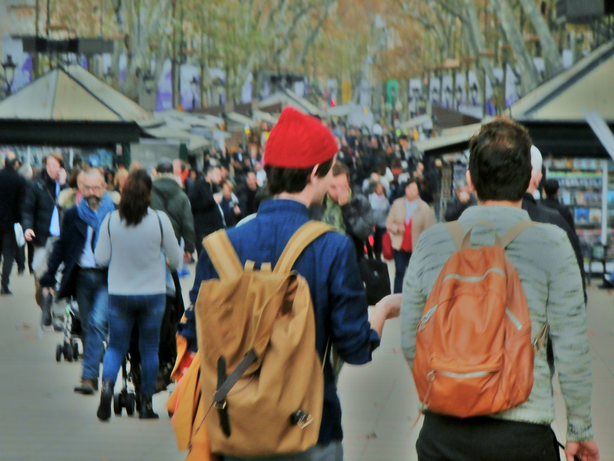 Olympus VR340,D750 sample photo. Las ramblas de catalunya, barcelona, spain. photography