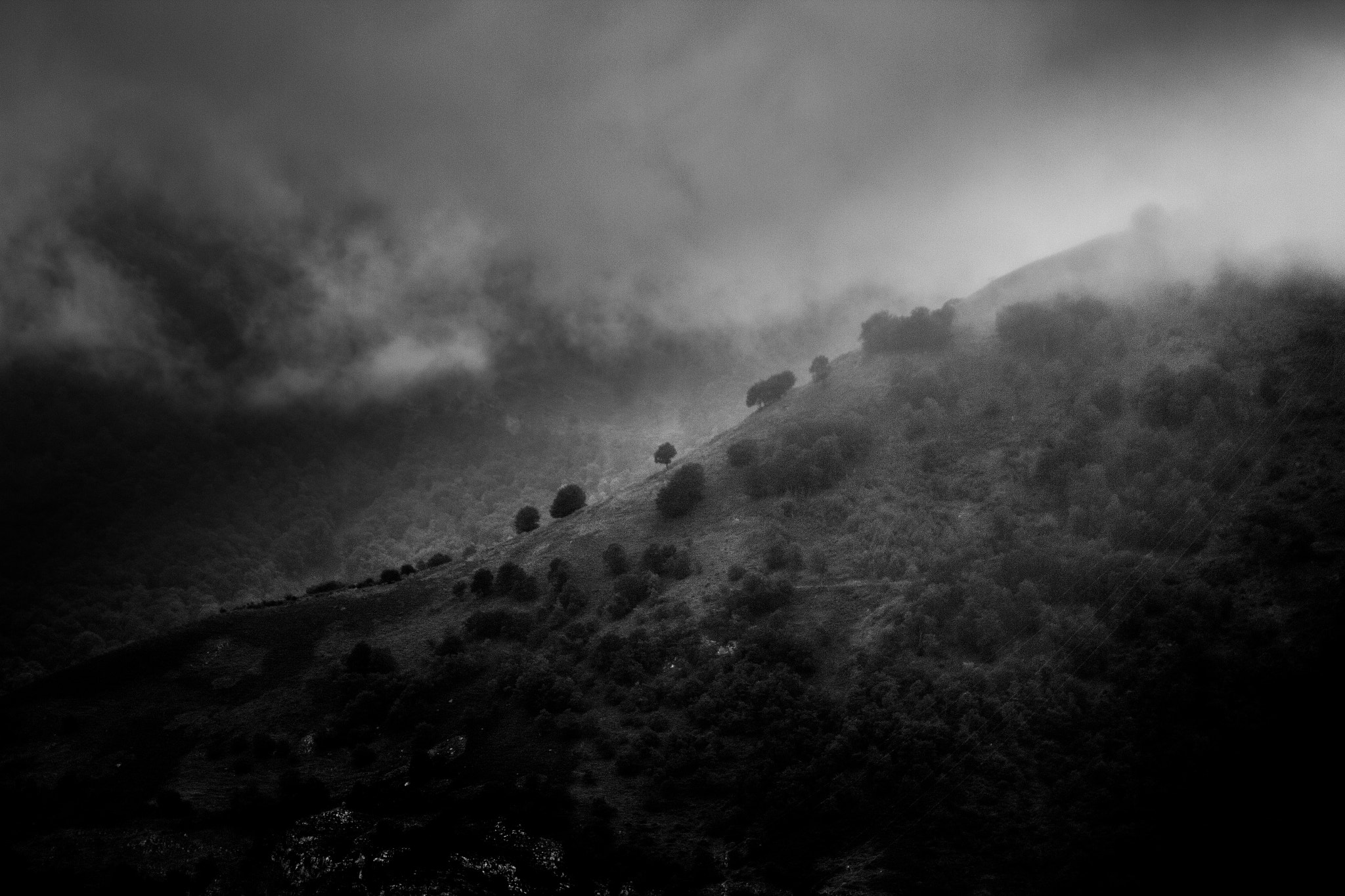 Canon EOS 60D sample photo. Mist photography