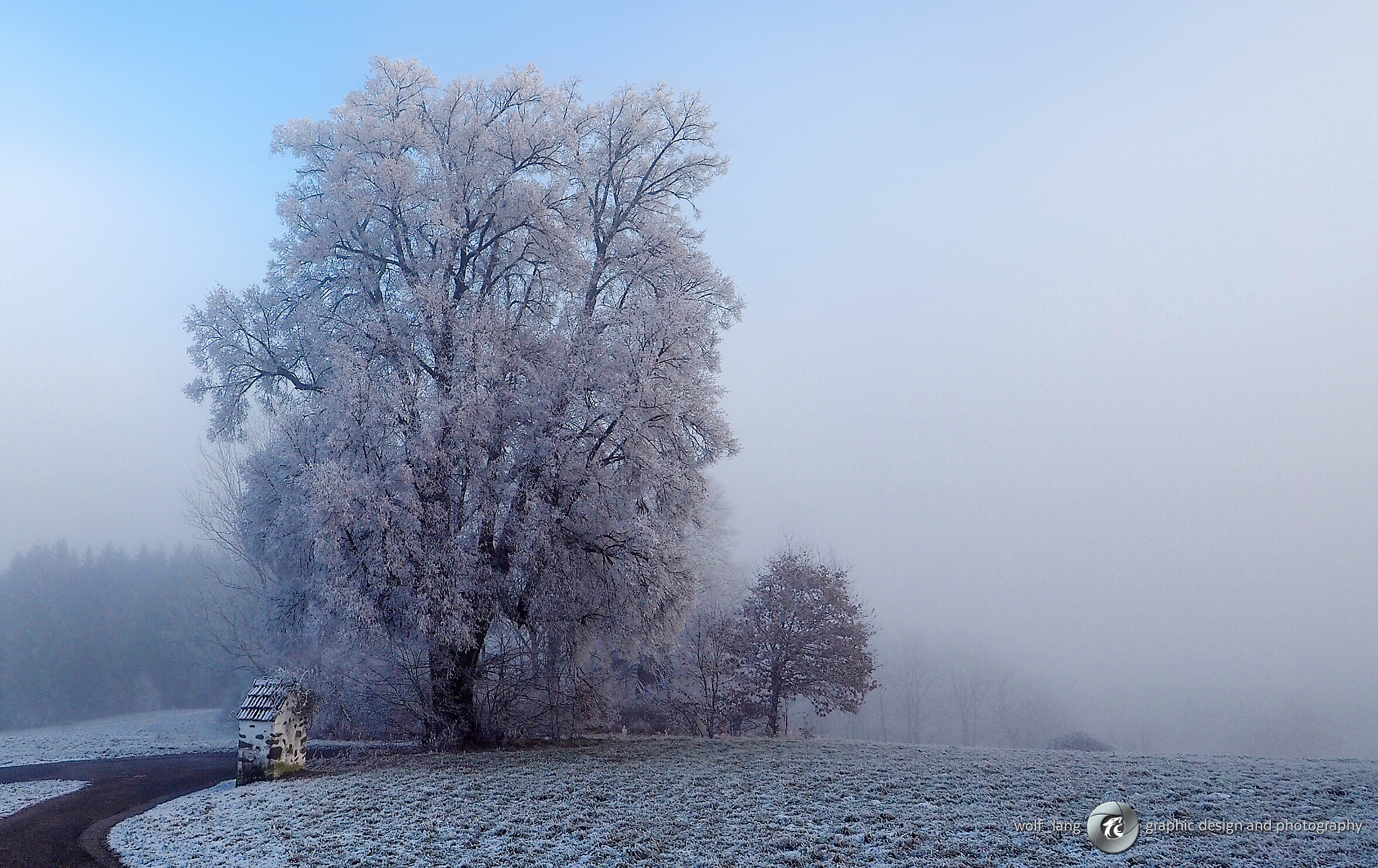 Olympus OM-D E-M10 sample photo. Walking in a winter wonderland photography