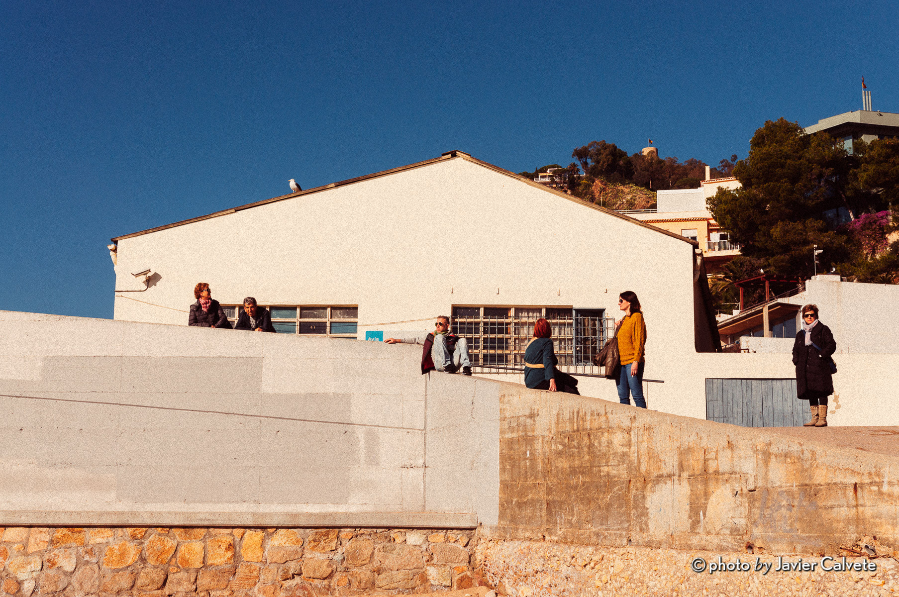 Nikon D90 + Sigma 18-35mm F1.8 DC HSM Art sample photo. Punta santa anna (2) photography