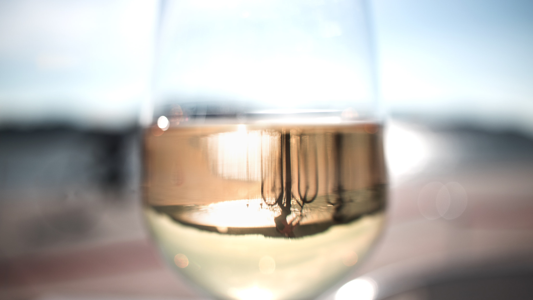 Canon EF-S 24mm F2.8 STM sample photo. Bike in glass photography