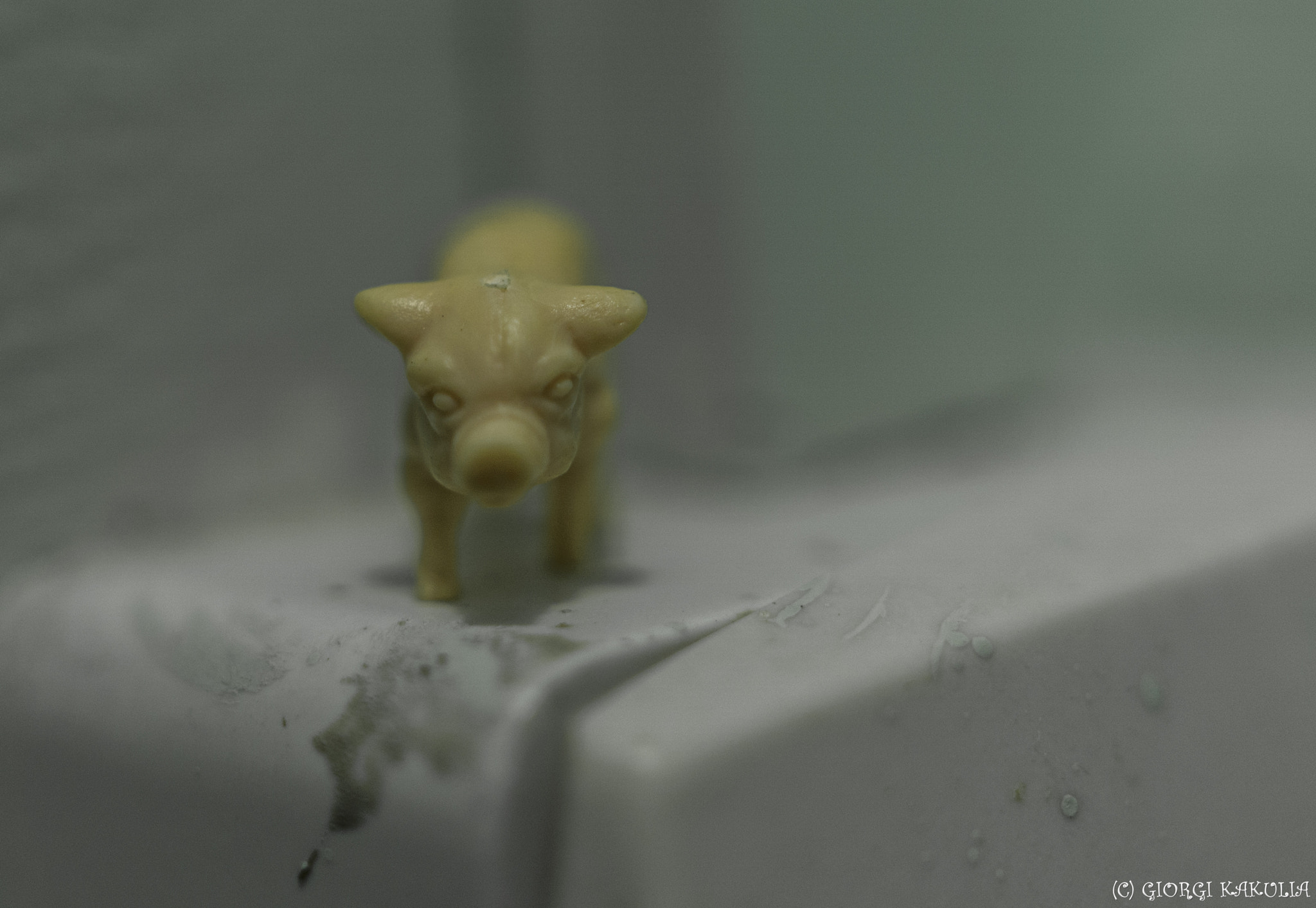 Sony Sonnar T* E 24mm F1.8 ZA sample photo. Small things photography