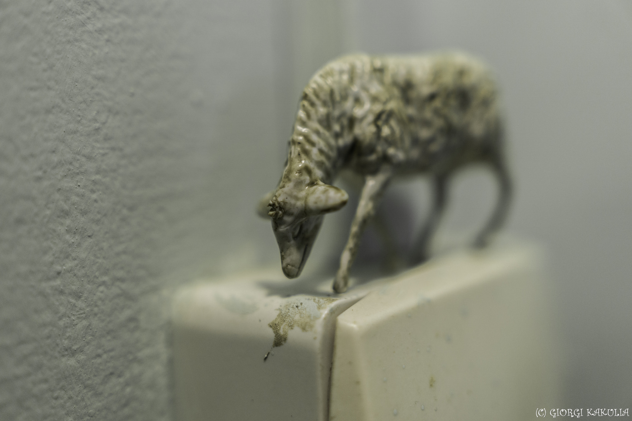 Sony Sonnar T* E 24mm F1.8 ZA sample photo. Small things photography