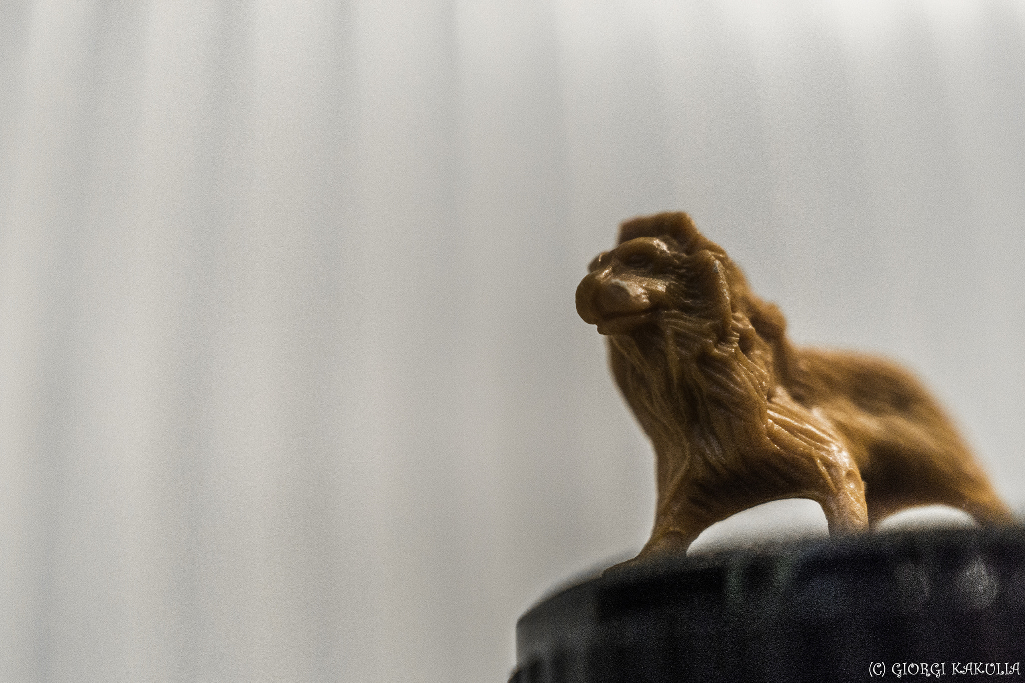 Sony Sonnar T* E 24mm F1.8 ZA sample photo. Small things photography