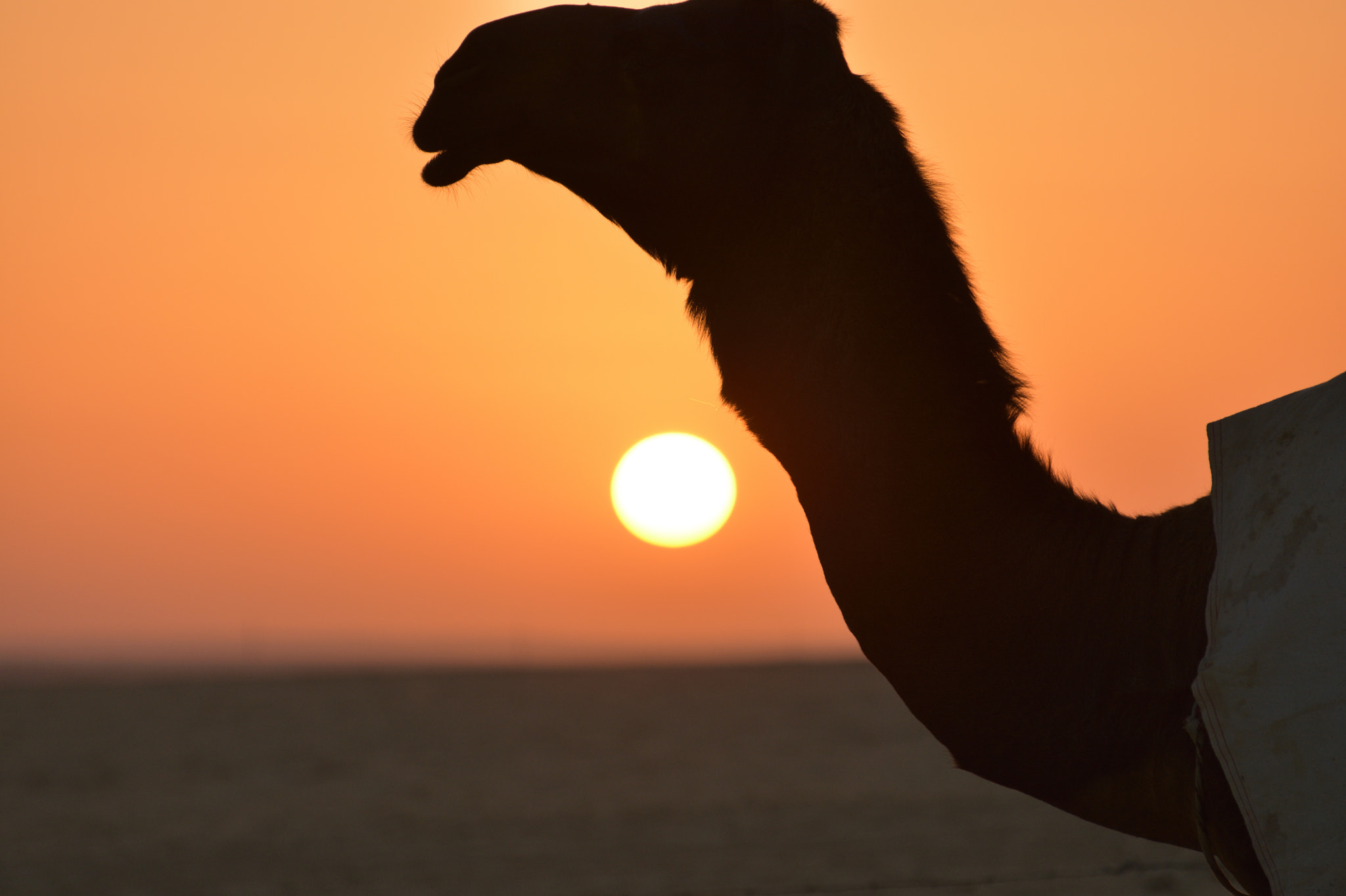 Nikon D3400 sample photo. Hudian under shadow of sunset photography