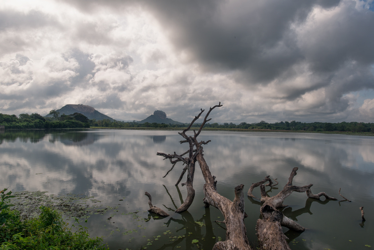 Nikon D800 sample photo. Sigiriya photography