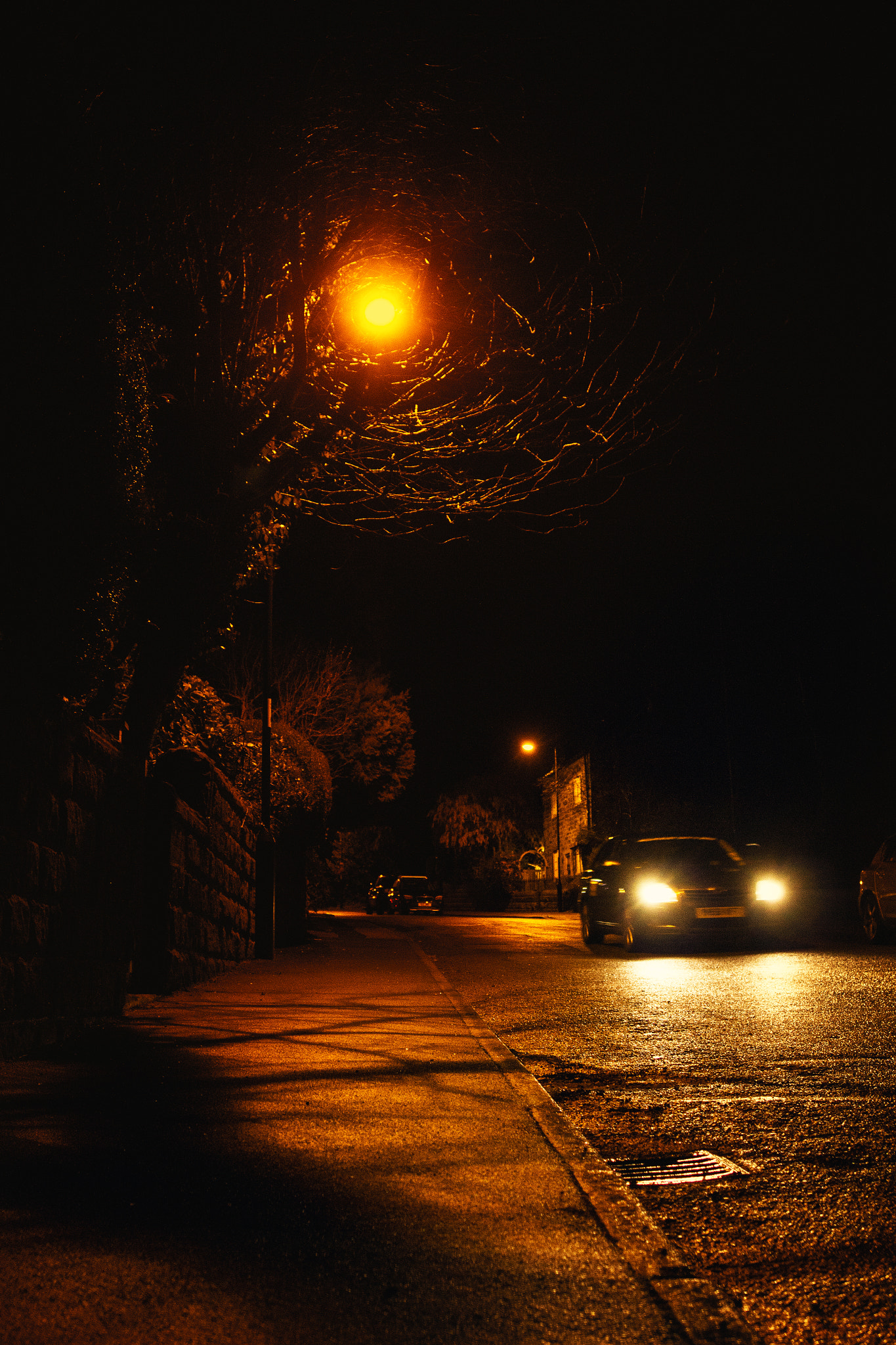Canon EF 24mm F2.8 IS USM sample photo. Eye of treeron photography