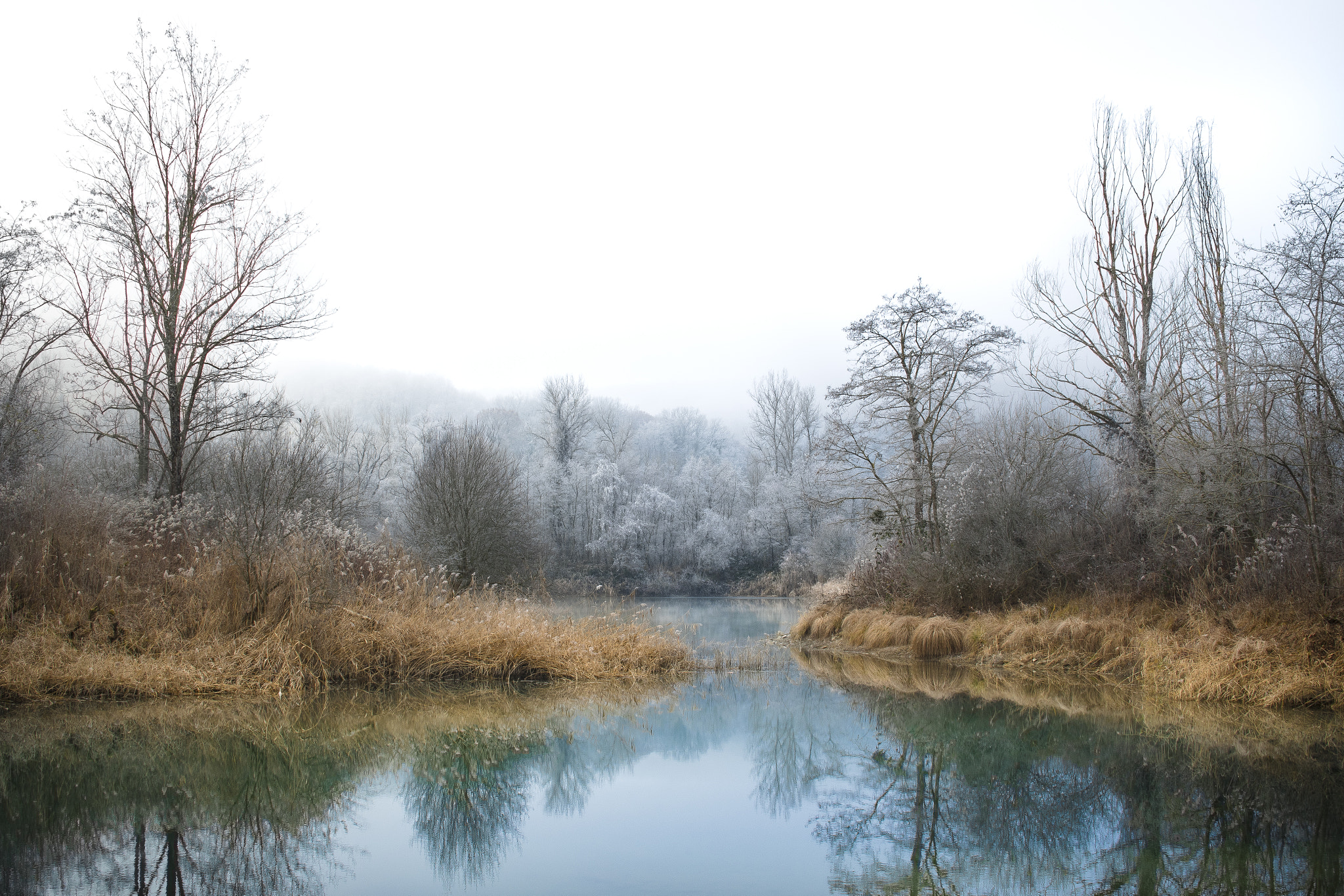 Nikon D500 sample photo. Winter pond photography