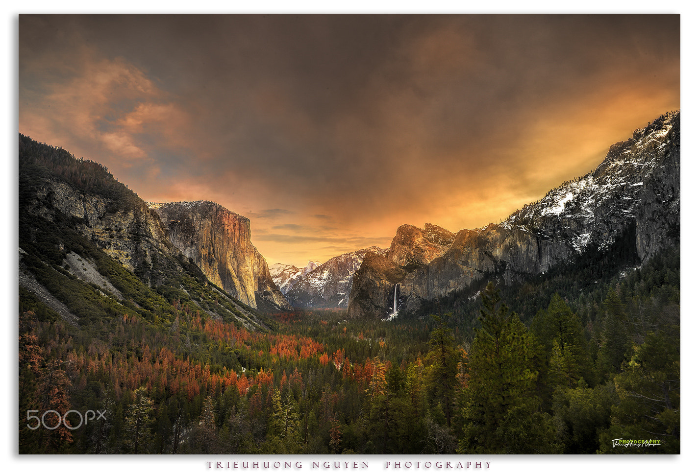 Nikon D4 sample photo. Yosemite photography