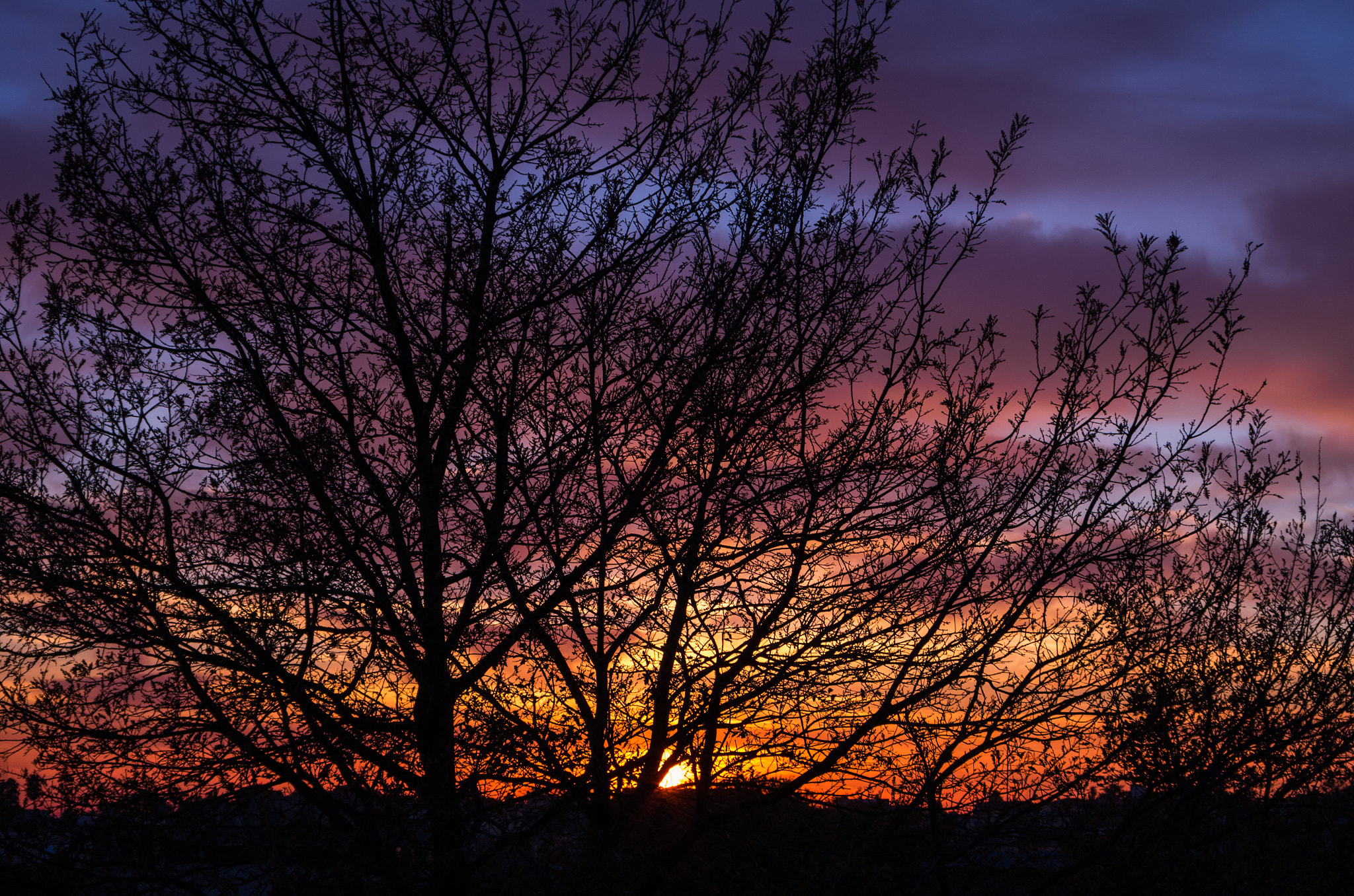 Pentax K-50 + smc Pentax-DA L 50-200mm F4-5.6 ED WR sample photo. The last sunset of 2016 photography