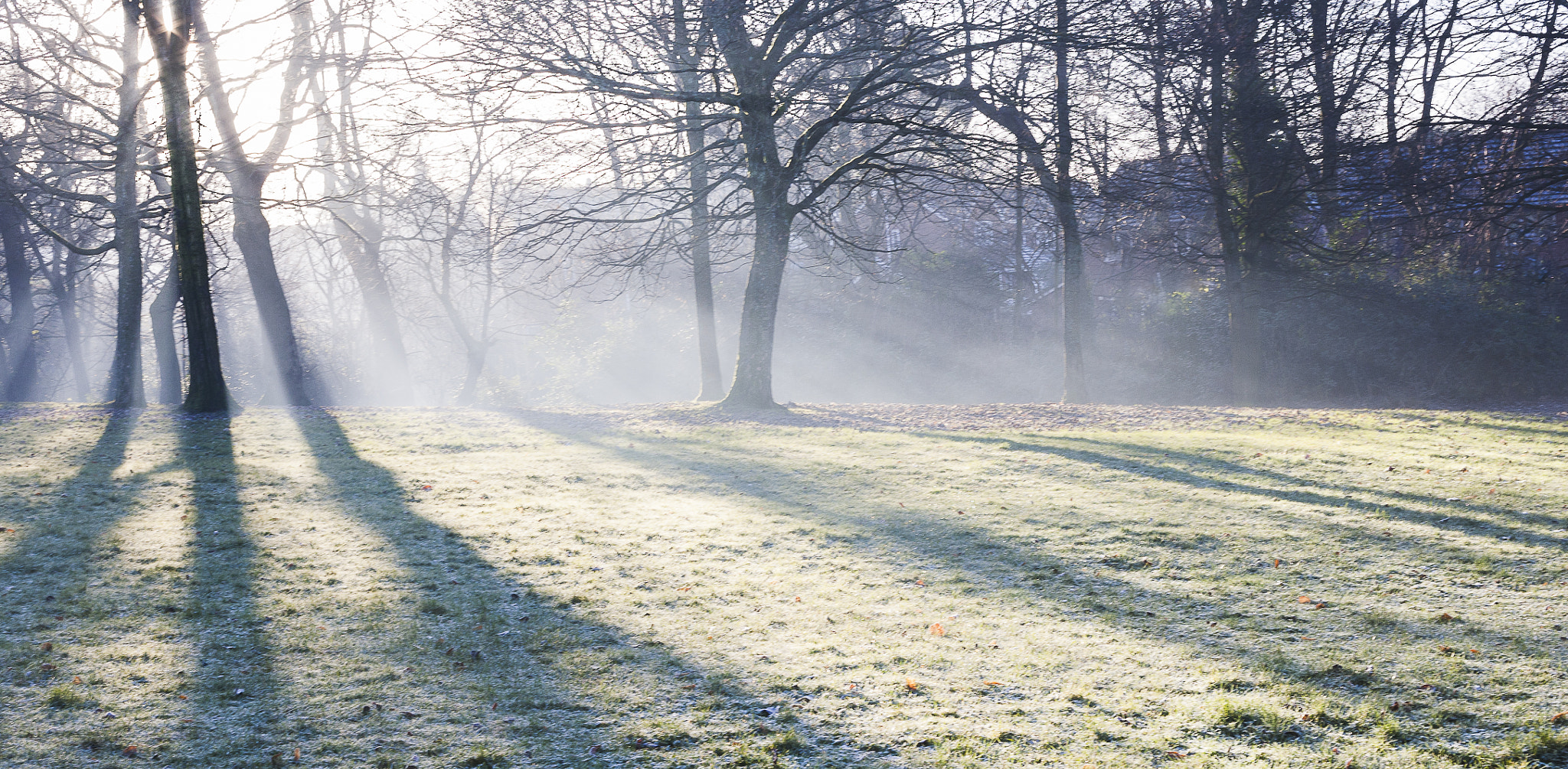 Canon EOS 5D + Canon EF 50mm F2.5 Macro sample photo. Morning photography