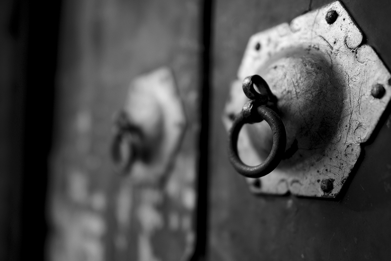 Nikon D800E + Nikon AF-S Nikkor 24mm F1.4G ED sample photo. 无题 photography