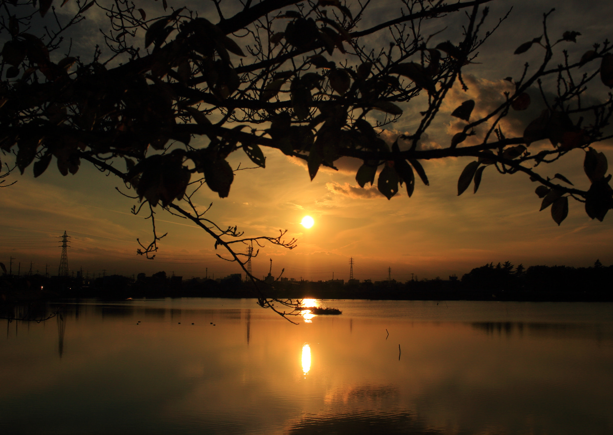 Canon EOS 100D (EOS Rebel SL1 / EOS Kiss X7) sample photo. Sunset covered with leaves photography