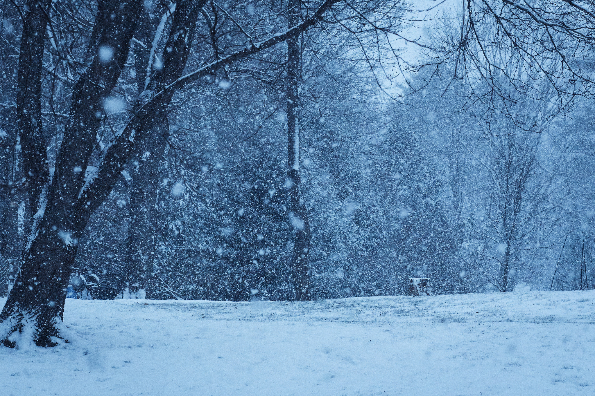 Canon EF 85mm F1.8 USM sample photo. Snow storm photography