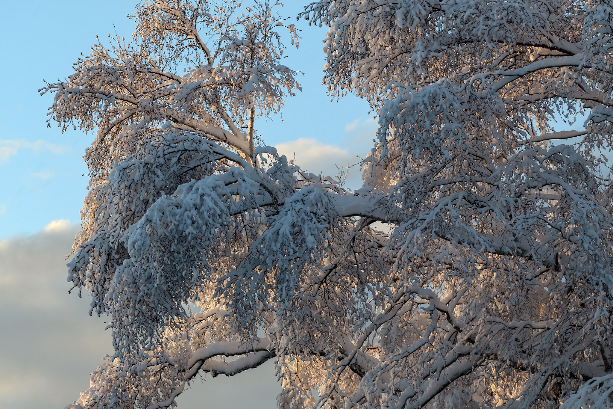 Canon EF 85mm F1.8 USM sample photo. After the storm photography