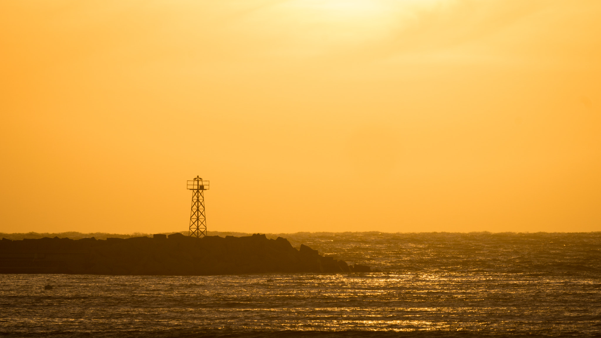 Sony ILCA-77M2 + Sony 70-400mm F4-5.6 G SSM sample photo