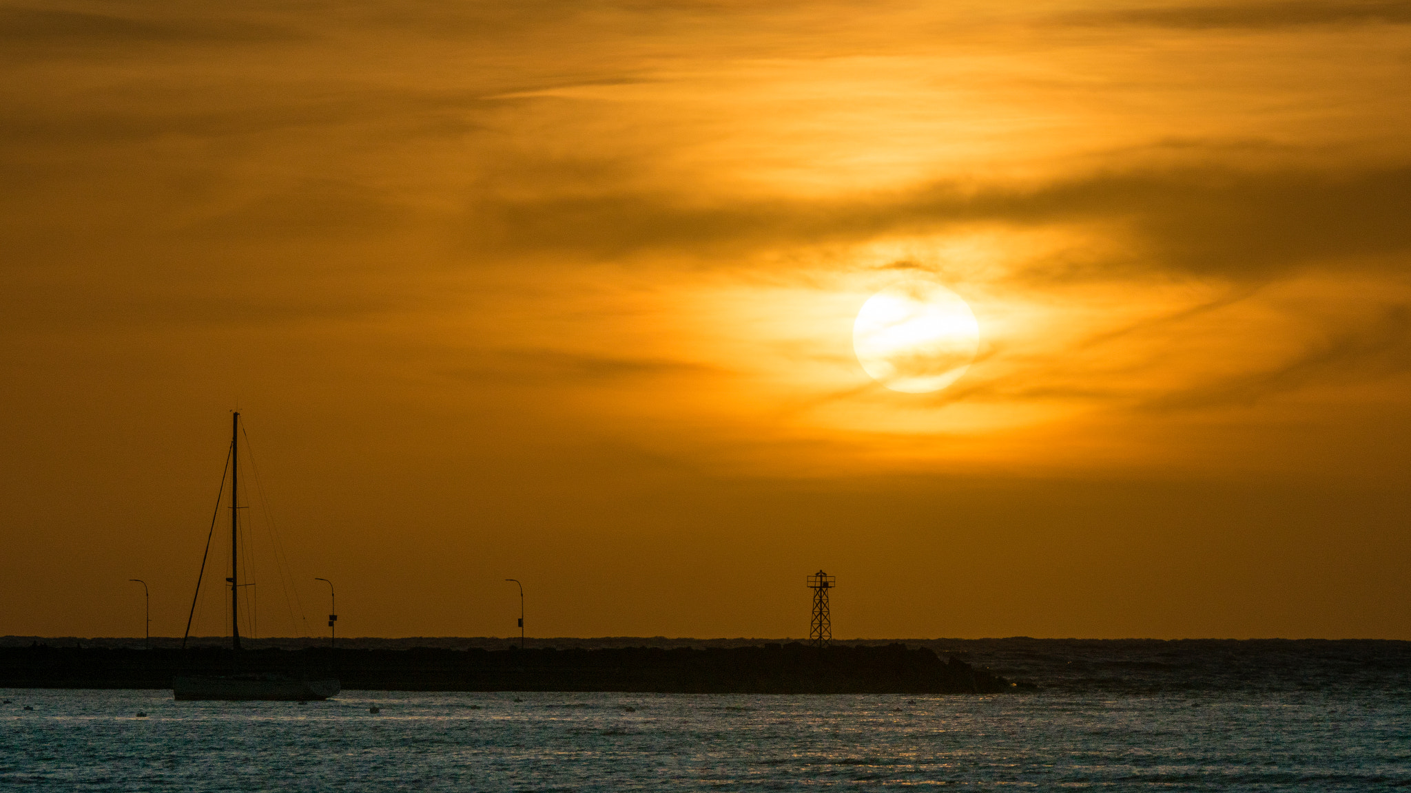 Sony ILCA-77M2 + Sony 70-400mm F4-5.6 G SSM sample photo