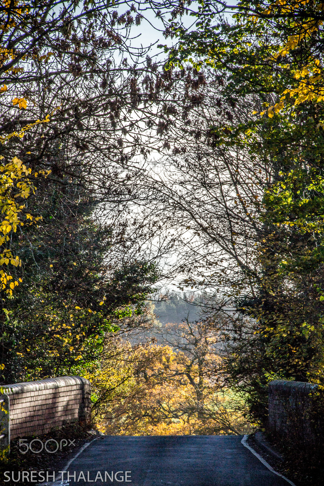 Canon EOS 100D (EOS Rebel SL1 / EOS Kiss X7) sample photo. Bridge over the grand union canal in autumn photography