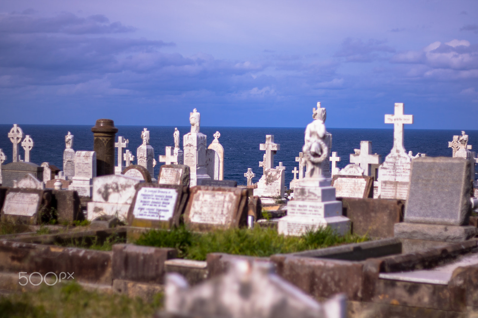Canon EOS 760D (EOS Rebel T6s / EOS 8000D) + Canon EF 50mm F1.8 II sample photo. Graves at the sea photography