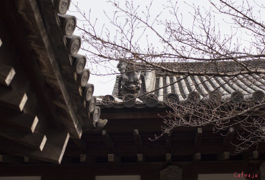 ZEISS Planar T* 50mm F1.4 sample photo. Chionin temple photography