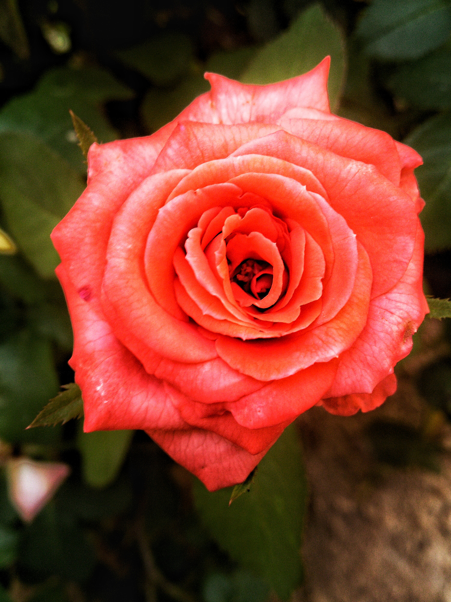 Sony Ericsson Xperia S sample photo. Vessels photography