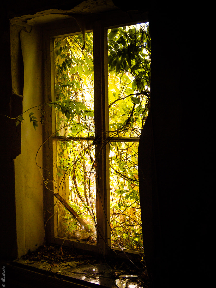 Olympus PEN E-P1 sample photo. Summer outside photography