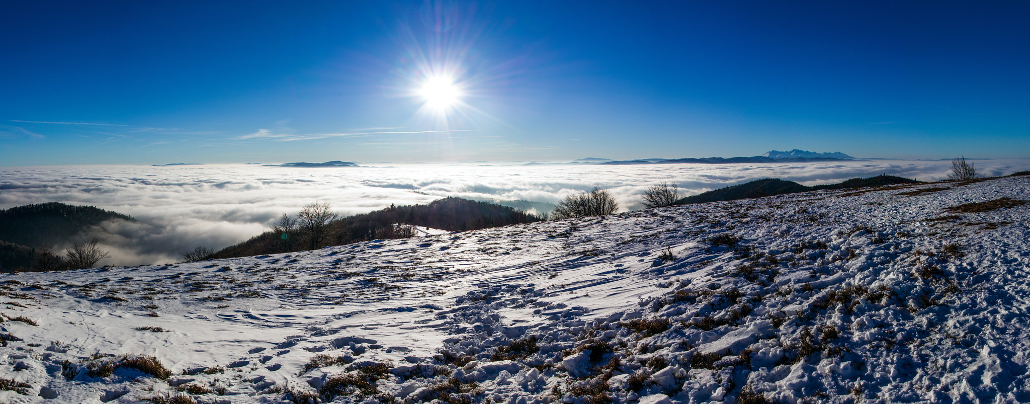 HD Pentax DA 15mm F4 ED AL Limited sample photo. Inversion photography