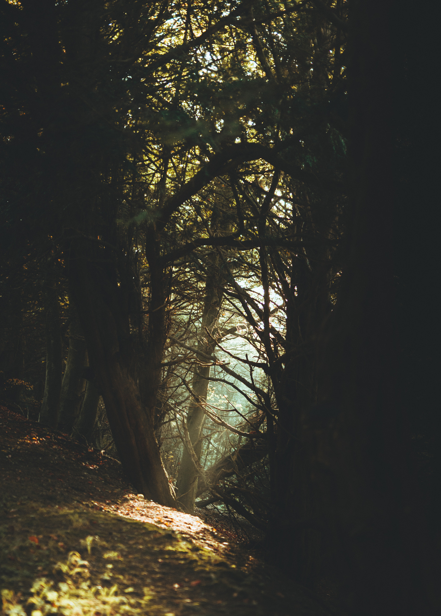 Nikon D700 + Sigma 50mm F1.4 DG HSM Art sample photo. Cracks of light photography