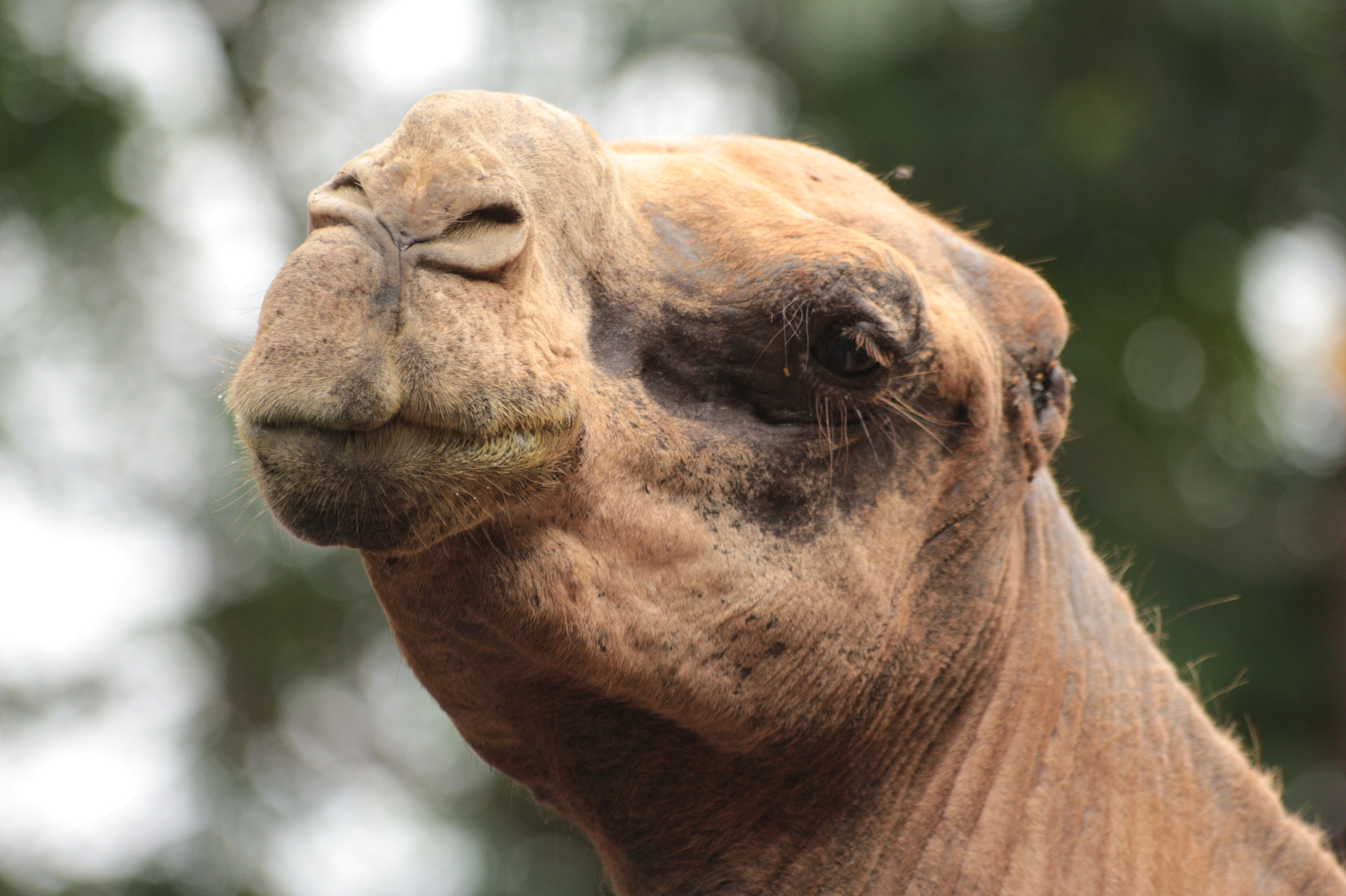 Canon EOS 700D (EOS Rebel T5i / EOS Kiss X7i) sample photo. Img photography
