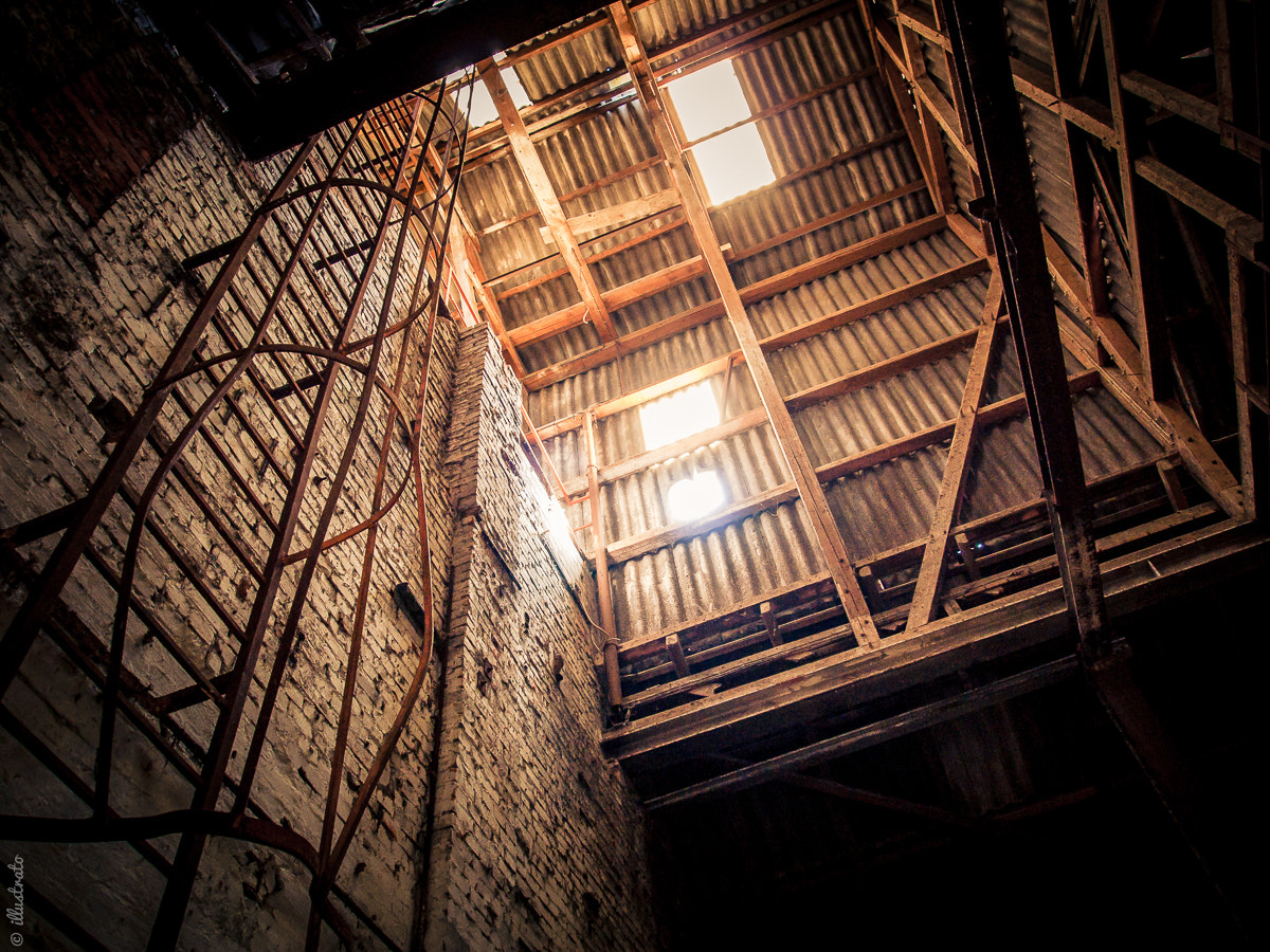 Olympus PEN E-P1 sample photo. Ladder to the light photography