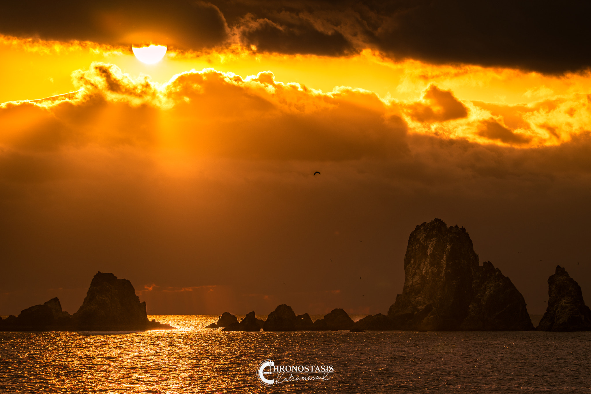 Sigma 150-600mm F5-6.3 DG OS HSM | C sample photo. Last sunset of 2016 photography