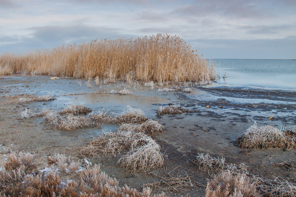 Canon EOS 50D sample photo. Cold morning on the lakeshore photography