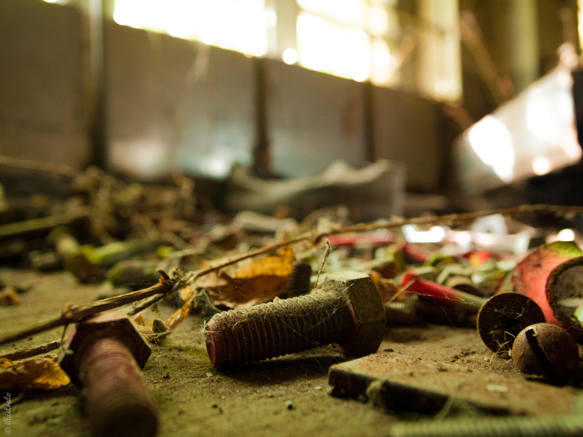 Olympus PEN E-P1 sample photo. Rusty screws and bolts photography