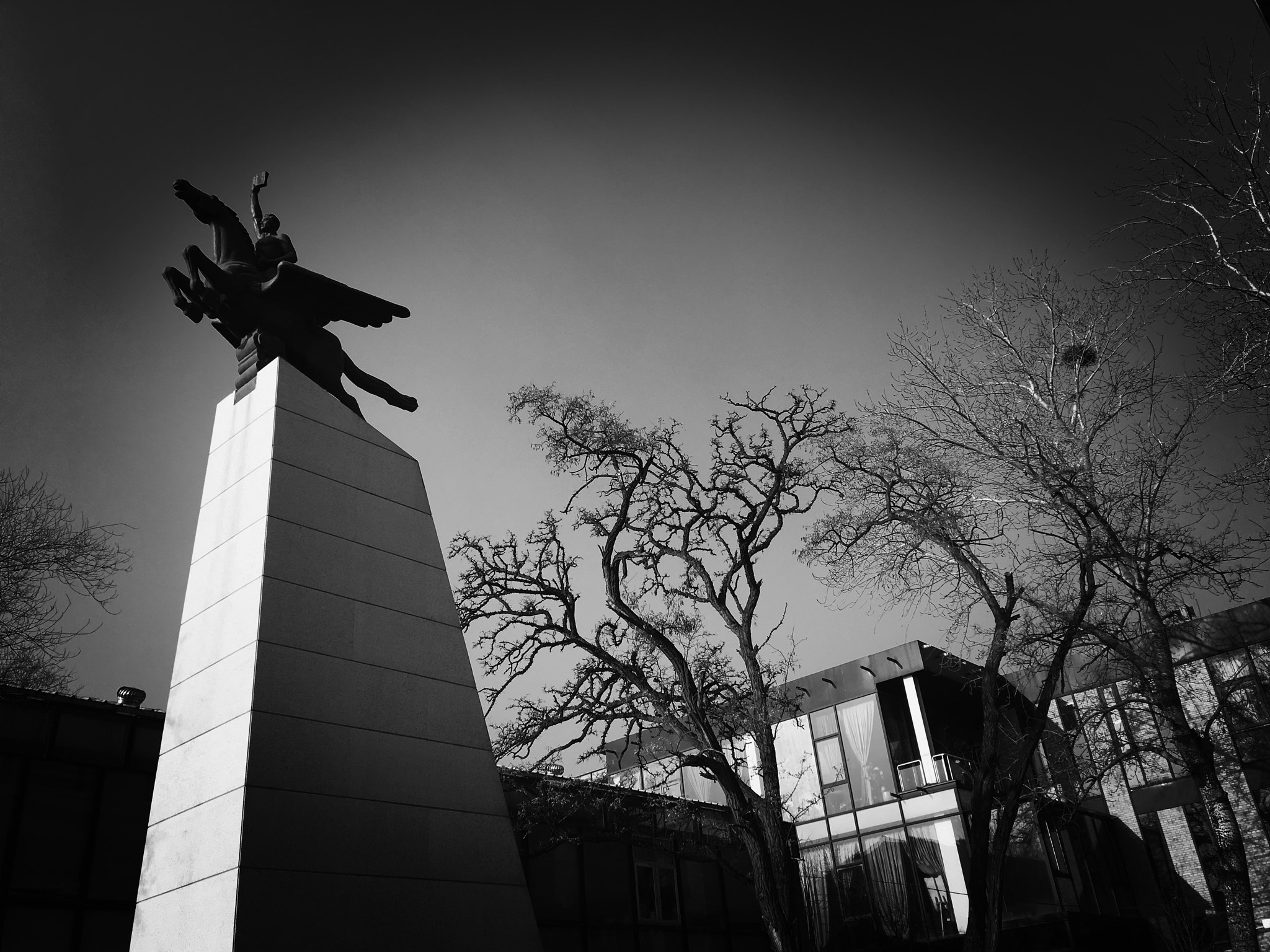 Blackie Camera sample photo. 798 photography