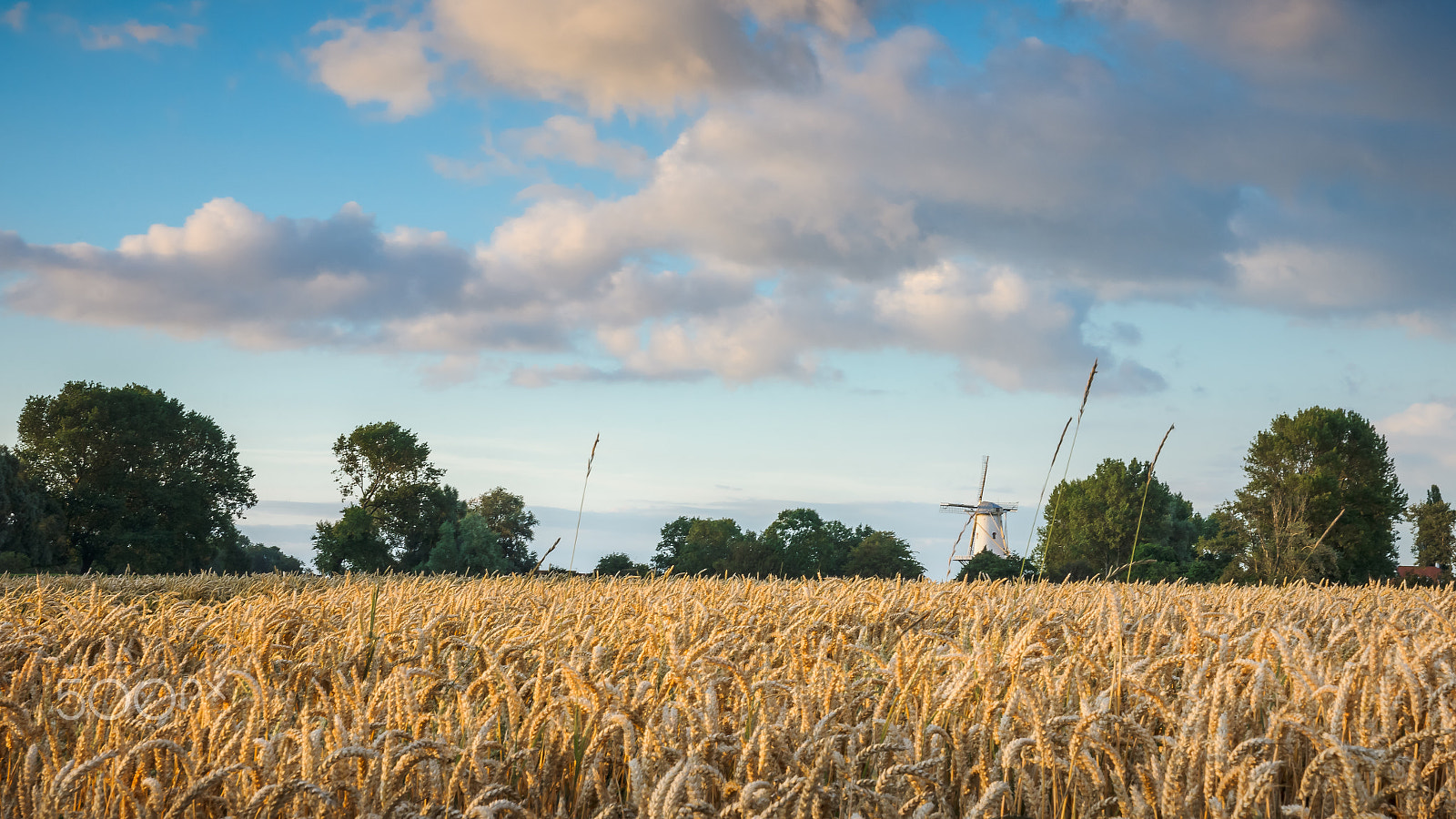 Sony Alpha DSLR-A900 sample photo. Romantic summer evening with in the netherlands photography