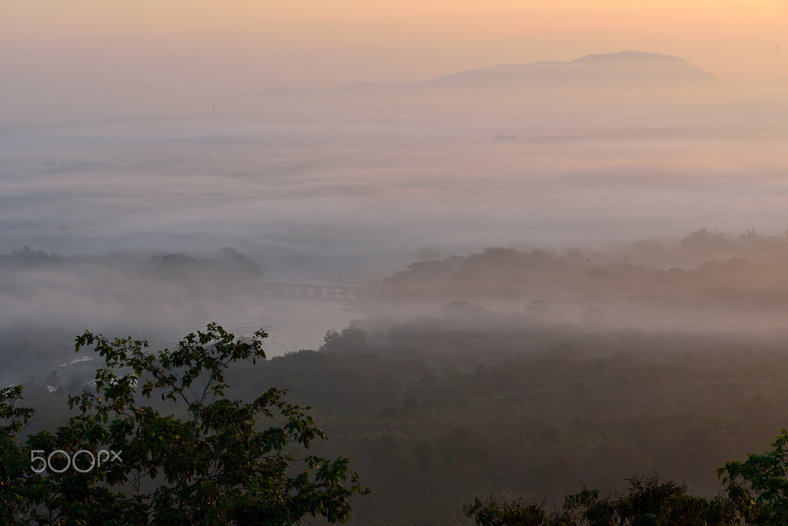 Nikon D800 sample photo. Morning mist photography